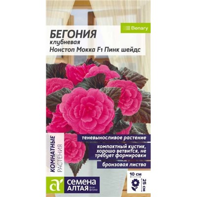 Бегония Нонстоп Мокка Пинк Шейдс ко