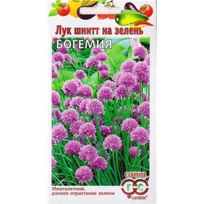 Лук шнитт Богемия (Код: 2301)