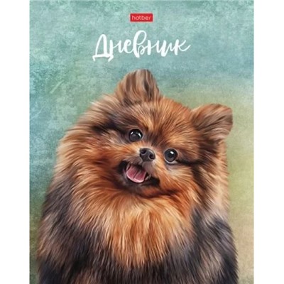 Дневник 1-11 класс ЛАЙТ "Милый друг" (078757) 28460 Хатбер