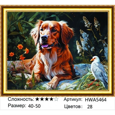 AM45 HWA5464, 40х50 см