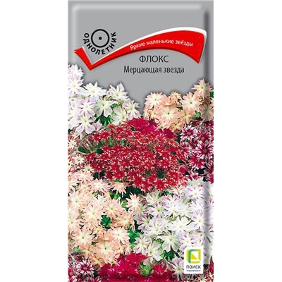 Флокс Мерцающая звезда (одн) (П)
