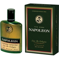 NAPOLEON 100 ml (CK Contradiction)/муж (зеленый) M~