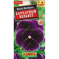 Виола Бархатный вельвет (Аэлита)