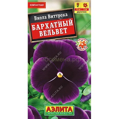 Виола Бархатный вельвет (Аэлита)