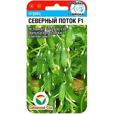 Огурец Северный поток F1 (Сиб сад)