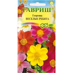 Георгина Веселые ребята (Код: 9273)