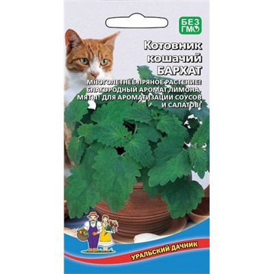 Котовник Бархат кошачий (УД) 0,08г