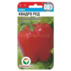 Перец Квадро ред (Сиб сад)