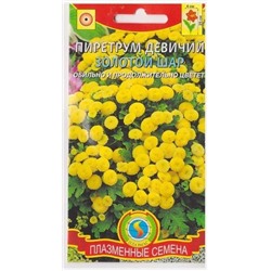 Пиретрум девичий Золотой шар (Код: 76060)