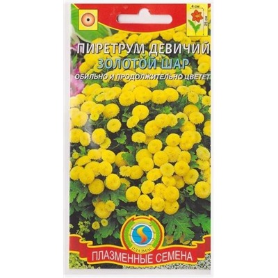 Пиретрум девичий Золотой шар (Код: 76060)