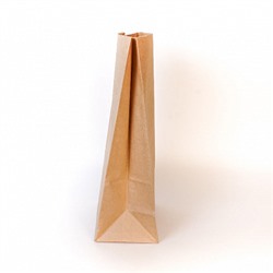 Пакет крафт с дном 250*120*80 мм