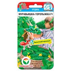 Огурец Муравьишка-торопыжка (Сиб.сад) 7шт