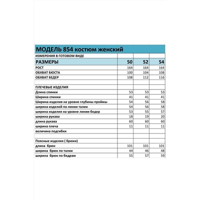 БагираАнТа 854, Брюки,  Бомбер