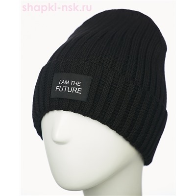 017 1S/1 IF SHM Дарвел Колпак мужской (58-60)