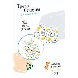 Трусы Боксеры Джунгли детские (Белый)