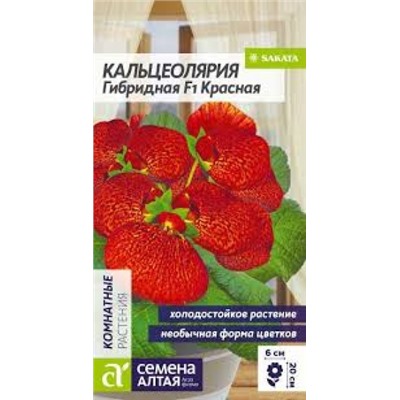 Цв.Кальцеолярия  Красная гибридная (Сем.Алтая) 3шт