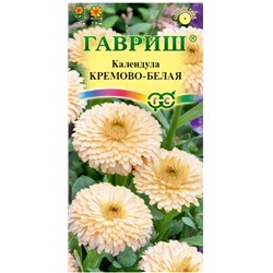 Календула Кремово-Белая Гавриш