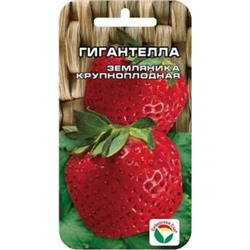 Земляника Гигантелла (Сиб.сад) 10шт