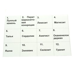 Коллекция минералов и горных пород 12 видов 180*125*40мм