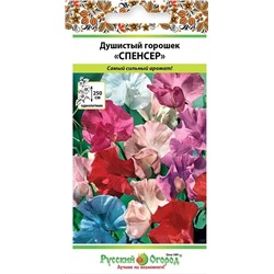 Душистый горошек Спенсер (НК)