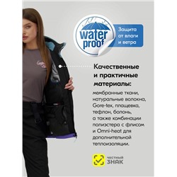 Горнолыжный костюм женский зимний фиолетового цвета 0027F