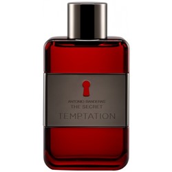 AB  THE SECRET TEMPTATION 100ml /муж.  M~ БЕЗ УПАКОВКИ