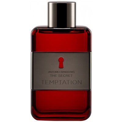 AB  THE SECRET TEMPTATION 100ml /муж.  M~ БЕЗ УПАКОВКИ