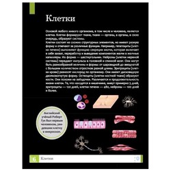 Уценка. Елена Ульева: Тело человека: энциклопедия (2-38035-2)