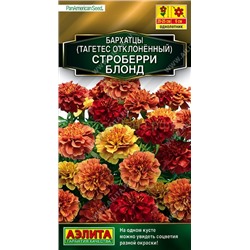 Бархатцы Строберри блонд отклон. (Аэлита)