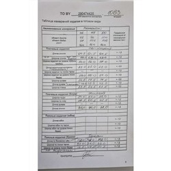 TAiER 1183, Брюки,  Жилет,  Свитшот