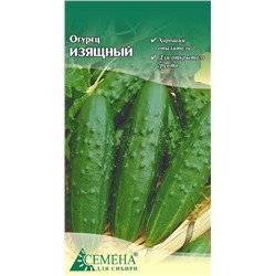 Огурец Изящный, 0,3г (цв.)