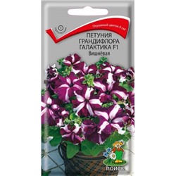 Цв.Петуния Галактика F1 Вишневая Грандифлора (Поиск) 10шт