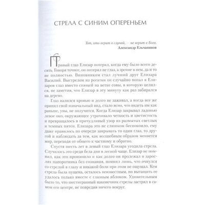 Ульяна Колесова: Суп из крыла ангела. Притчи о любви