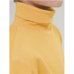 BFJS4295 (Джемпер для мальчика, Pelican Outlet )