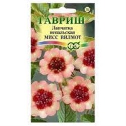 Цв.Лапчатка Мисс Вильмонт (Гавриш) 0,01г
