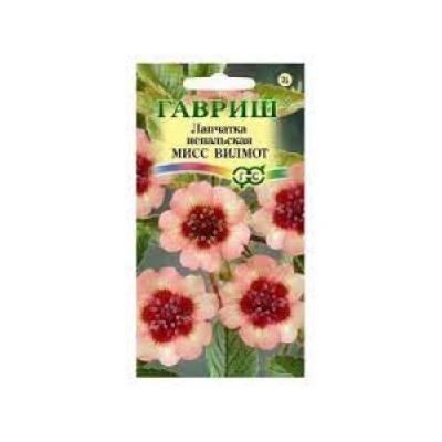 Цв.Лапчатка Мисс Вильмонт (Гавриш) 0,01г