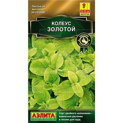 Цв.Колеус Блюме Золотой (Аэлита) 5шт