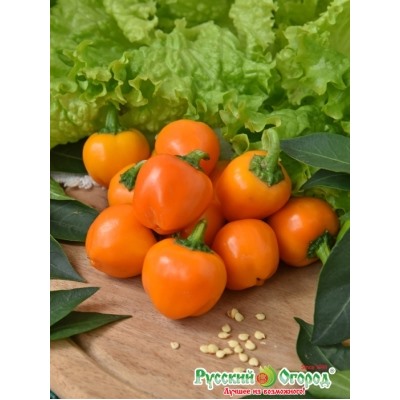 Перец Трюфелек Оранжевый F1 (НК) 8шт Вкуснятина