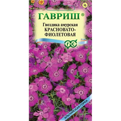 Гвоздика амурская Красновато-фиолетовая (Гавр)