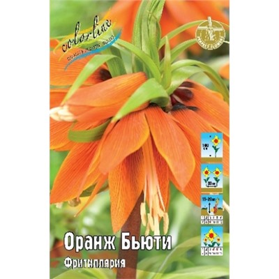 Фритиллярия Оранж Бьюти 1шт (ИС)