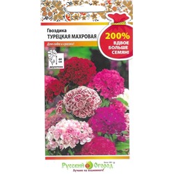 Гвоздика турецкая Махровая (смесь) (НК)