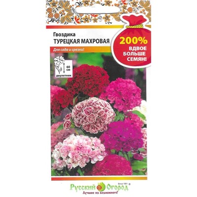 Гвоздика турецкая Махровая (смесь) (НК)