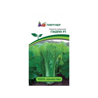 Капуста пекинская Гидра F1 (Партнер)