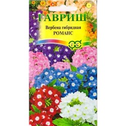 Вербена Романс (Код: 7649)