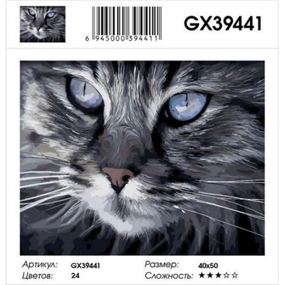 РН GХ39441, 40х50 см