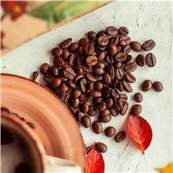 MOUNTAIN'S LEGEND - M'Ja КОМБО, 500 г