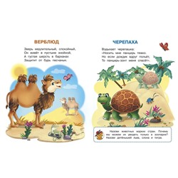 Ирина Шестакова: Животные зоопарка