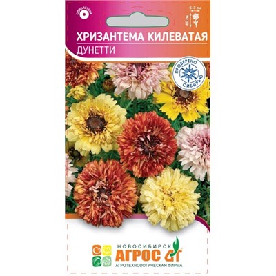 Хризантема Килеватая Дунетти (Код: 93417)