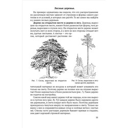 Естествознание. Учебник для 4 класса начальной школы. Тетюрев В.А. 1945