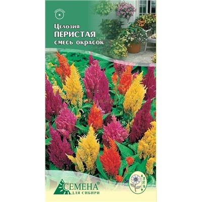 Целозия Перистая смесь окрасок, 0,2г (цв.)